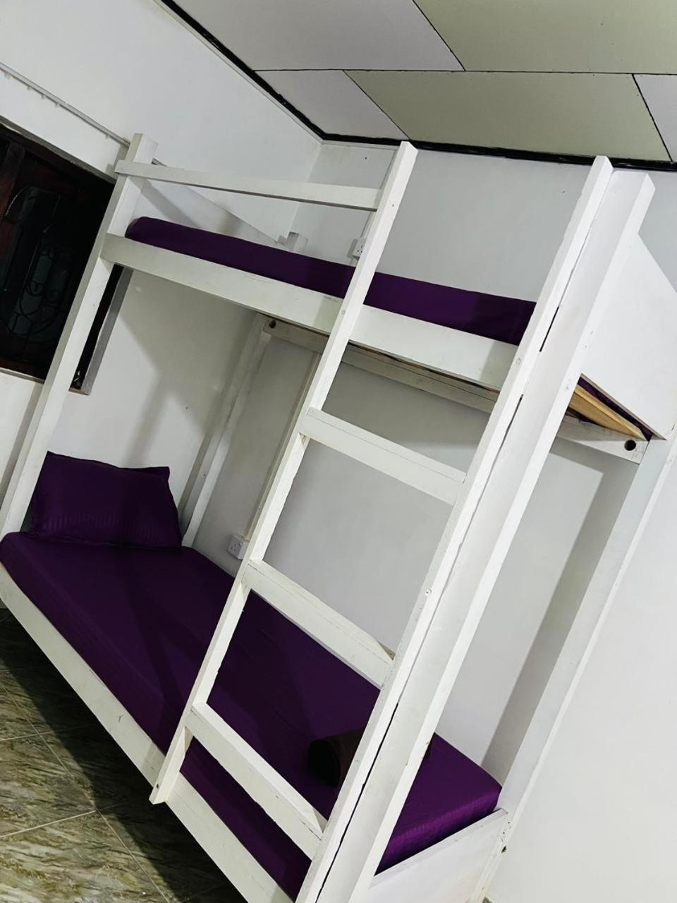 Bunk Bed in Mixed Dormitory Room,1695353387:JPEG