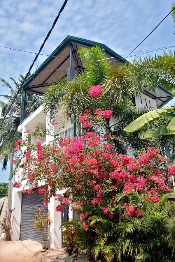 Superior Villa