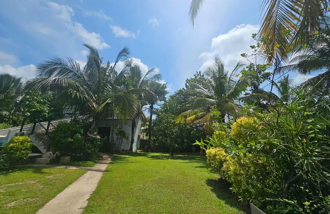 Optimum Residencies-1