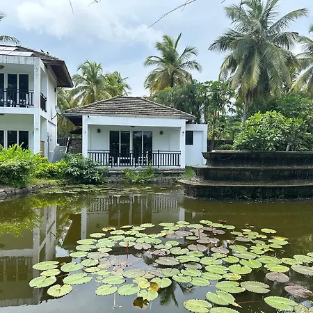 Amaluna Resorts-3