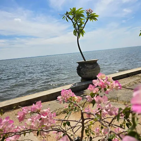 Lagoon Bay Resort-3