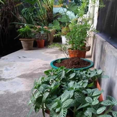 Mazz Homestay-3